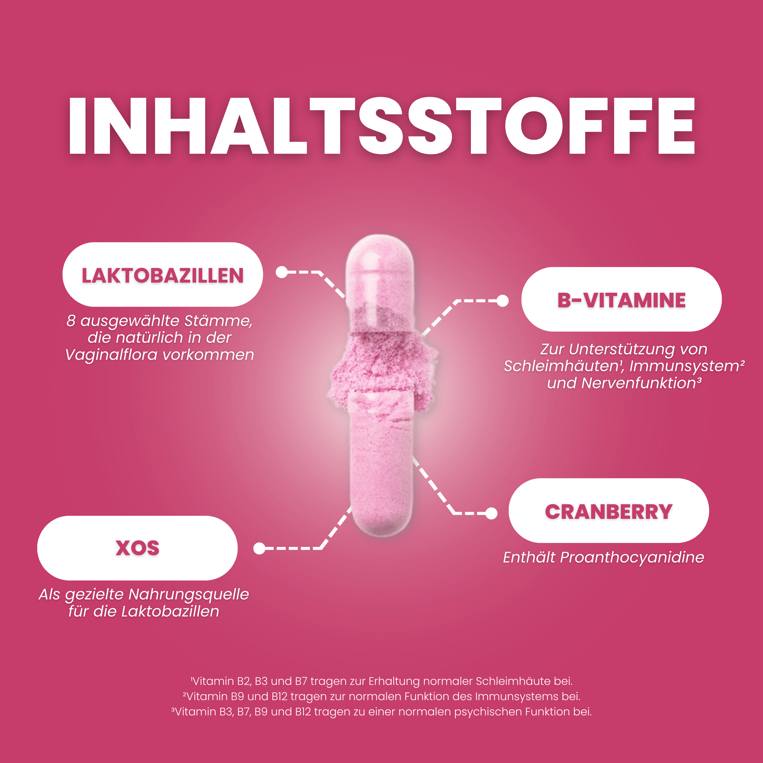 Aufgebrochene Kapseln mit Darstellung der einzelnen Inhaltsstoffe