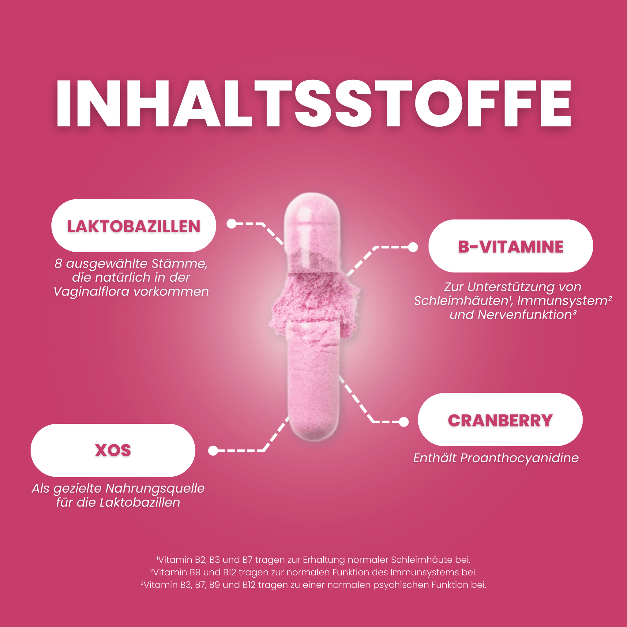 Aufgebrochene Kapseln mit Darstellung der einzelnen Inhaltsstoffe